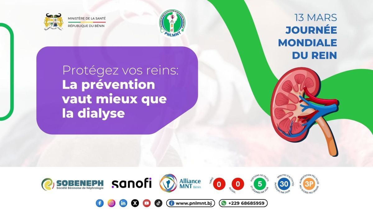 Protégez vos reins : La prévention, clé d’une santé durable