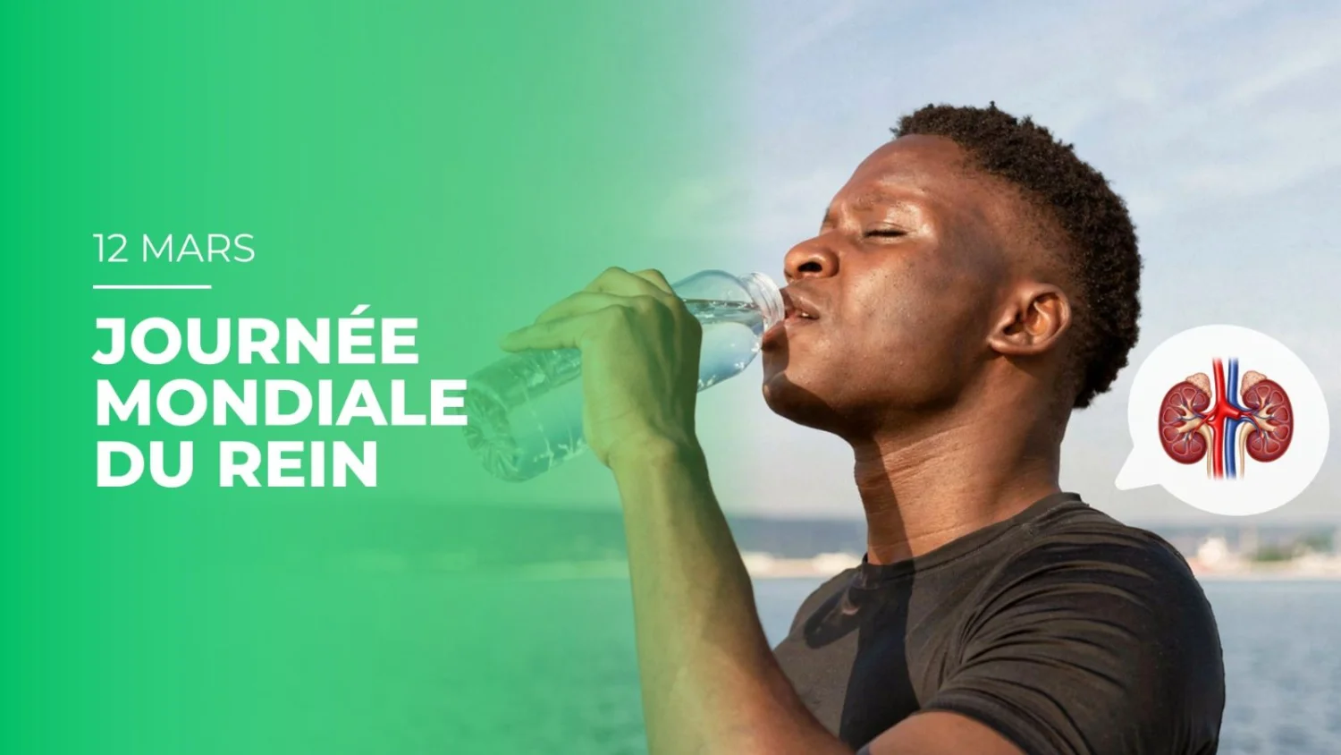 Journée mondiale du rein : Protéger ses reins, c’est protéger sa vie