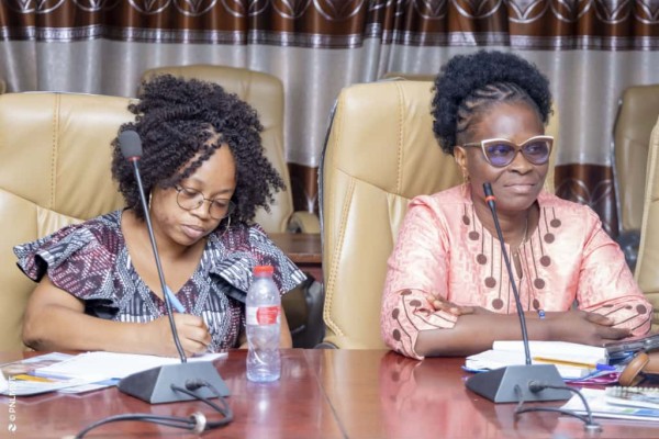 Atelier de validation des outils d’Éducation thérapeutique du patient dans le cadre de la mise en œuvre du PEN+