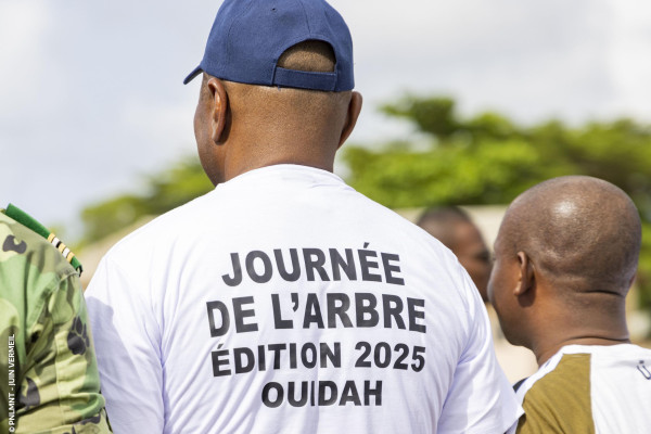 Célébration de la Journée de l’Arbre à Ouidah : Plus de 2500 arbres plantés pour lancer Juin Vermeil 2025