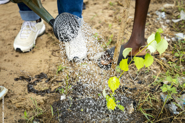 Célébration de la Journée de l’Arbre à Ouidah : Plus de 2500 arbres plantés pour lancer Juin Vermeil 2025