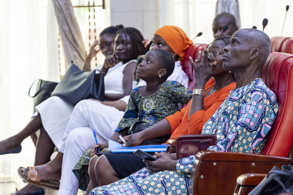 19 juin : Journée mondiale de la drépanocytose, le Bénin se mobilise
