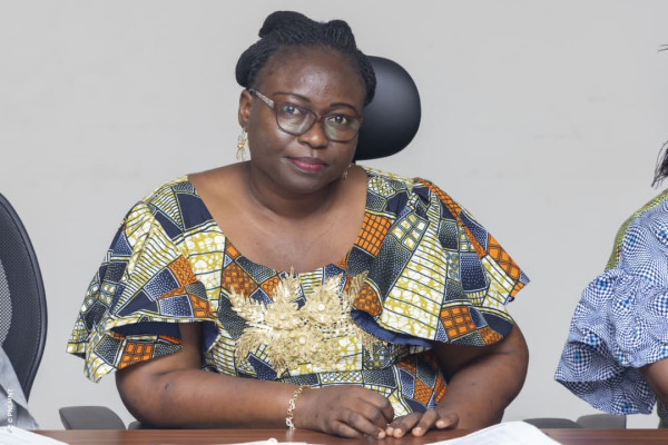 Atelier de plaidoyer pour la mise en œuvre du PEN+ : Session du Sud