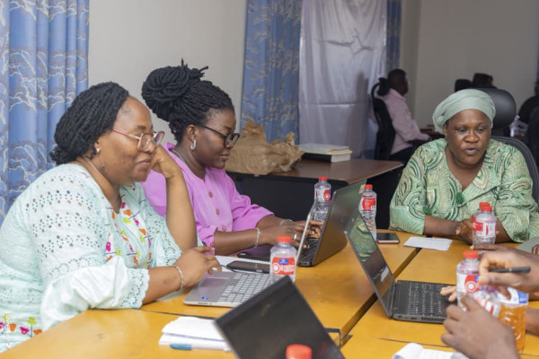 Atelier de plaidoyer pour la mise en œuvre du PEN+ : Session du Sud
