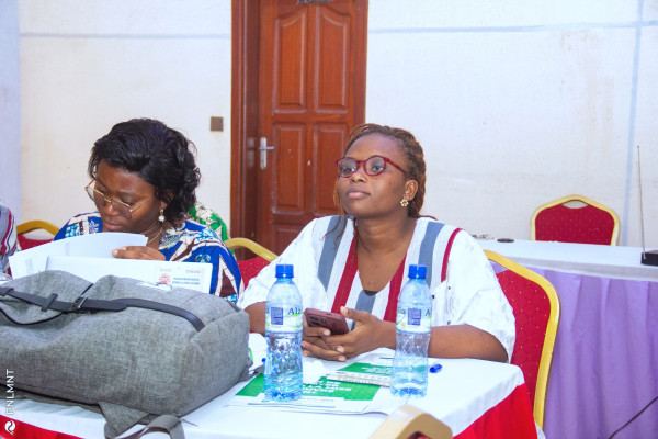 Atelier de plaidoyer pour la mise en œuvre du PEN+