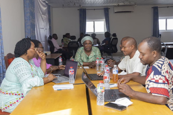 Atelier de plaidoyer pour la mise en œuvre du PEN+ : Session du Sud