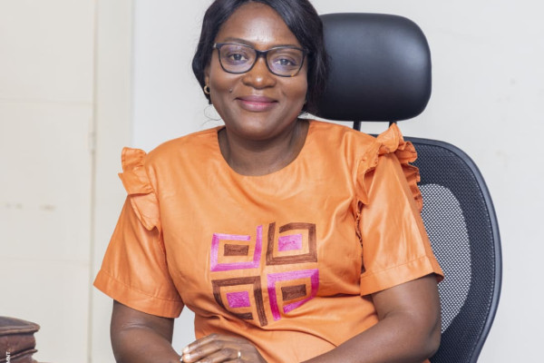 Atelier de plaidoyer pour la mise en œuvre du PEN+ : Session du Sud