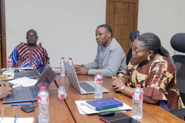 Atelier de plaidoyer pour la mise en œuvre du PEN+ : Session du Sud