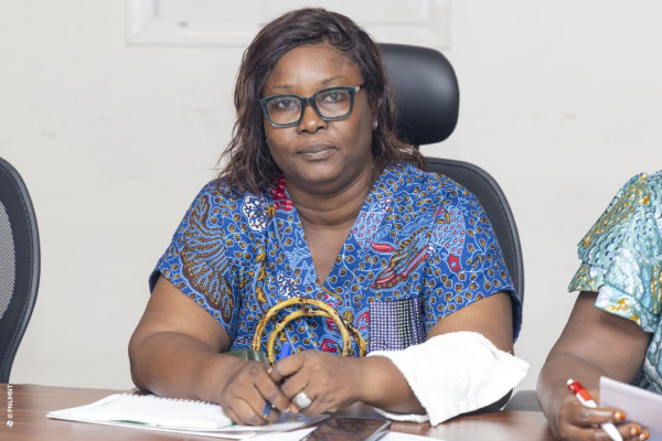 Atelier de plaidoyer pour la mise en œuvre du PEN+ : Session du Sud