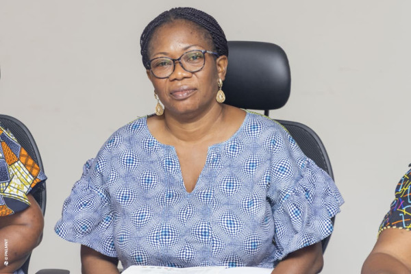 Atelier de plaidoyer pour la mise en œuvre du PEN+ : Session du Sud