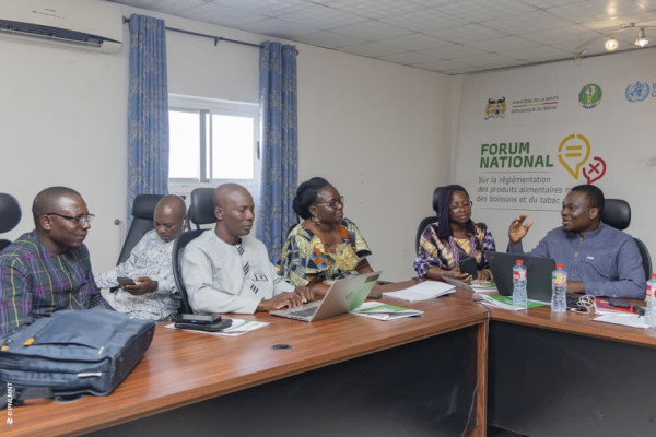 Atelier de plaidoyer pour la mise en œuvre du PEN+ : Session du Sud