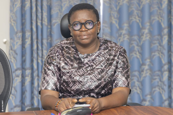 Atelier de plaidoyer pour la mise en œuvre du PEN+ : Session du Sud