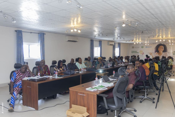 Atelier de plaidoyer pour la mise en œuvre du PEN+ : Session du Sud