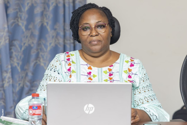 Atelier de plaidoyer pour la mise en œuvre du PEN+ : Session du Sud