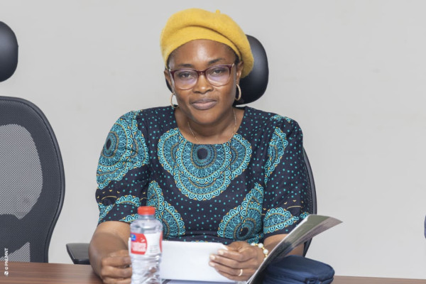 Atelier de plaidoyer pour la mise en œuvre du PEN+ : Session du Sud