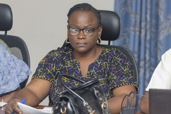 Atelier de plaidoyer pour la mise en œuvre du PEN+ : Session du Sud