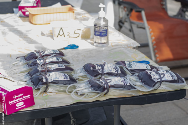 Retour sur la 9ᵉ Édition de Tout Cotonou Marche : une mobilisation exceptionnelle pour la santé et le bien-être