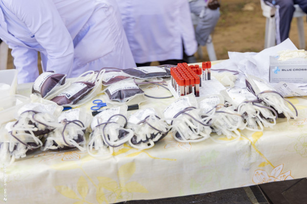 TOUT COTONOU MARCHE CONTRE LA DRÉPANOCYTOSE : une mobilisation forte pour briser le silence
