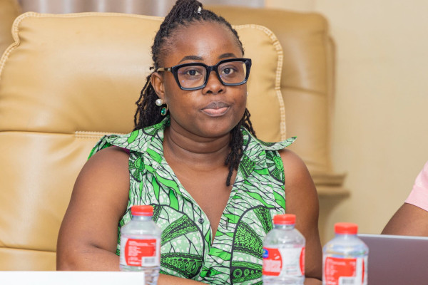 Atelier de scénarisation et de structuration des modules e-learning WHOPEN