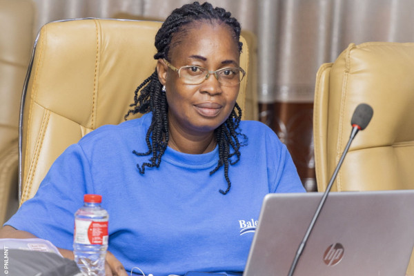 Atelier de scénarisation et de structuration des modules e-learning WHOPEN