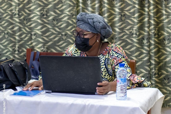 Atelier de validation des outils de communication pour la dissémination des données de l’enquête RAAB7 au Nord-Bénin