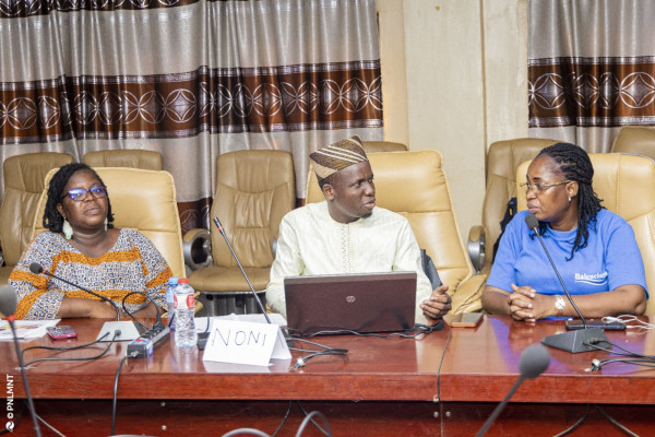 Atelier de scénarisation et de structuration des modules e-learning WHOPEN