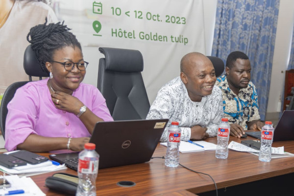 Atelier de plaidoyer pour la mise en œuvre du PEN+ : Session du Sud