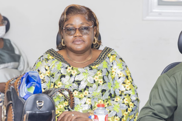 Atelier de plaidoyer pour la mise en œuvre du PEN+ : Session du Sud