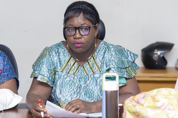 Atelier de plaidoyer pour la mise en œuvre du PEN+ : Session du Sud