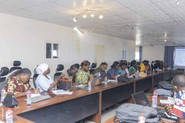 Atelier de plaidoyer pour la mise en œuvre du PEN+ : Session du Sud