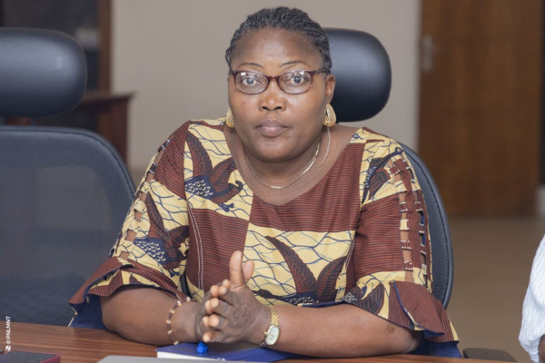 Atelier de plaidoyer pour la mise en œuvre du PEN+ : Session du Sud