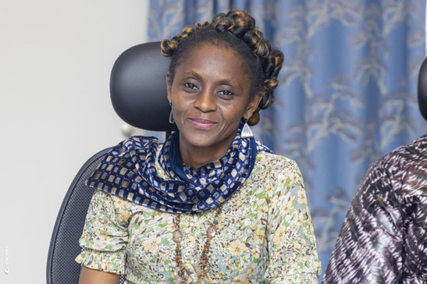 Atelier de plaidoyer pour la mise en œuvre du PEN+ : Session du Sud