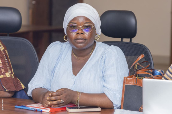 Atelier de plaidoyer pour la mise en œuvre du PEN+ : Session du Sud