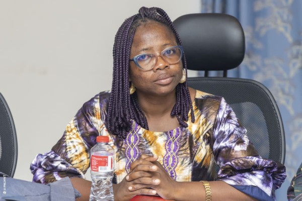 Atelier de plaidoyer pour la mise en œuvre du PEN+ : Session du Sud