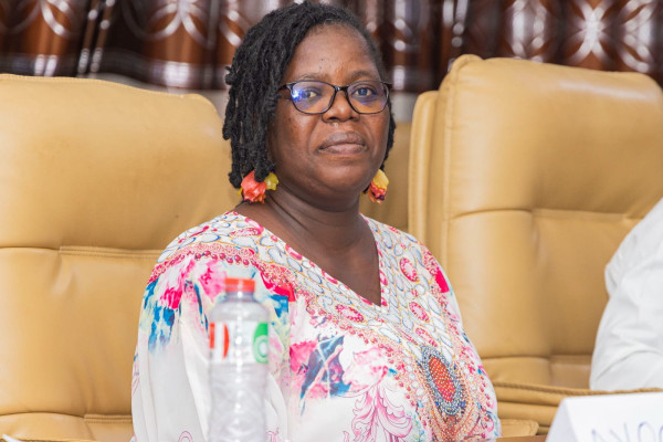 Atelier de scénarisation et de structuration des modules e-learning WHOPEN