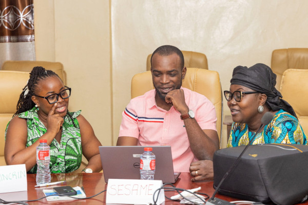 Atelier de scénarisation et de structuration des modules e-learning WHOPEN